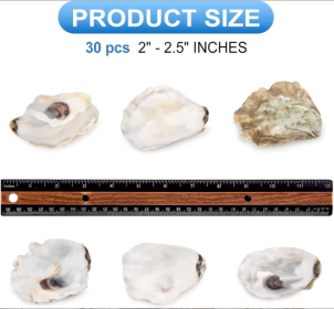 30pcs Oyster Shells With Pearl Bulk Natural Oyster Shells For Crafts DIY Arts Xmas Ornaments (Option: Style1)
